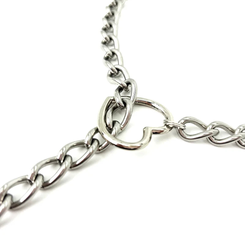 SLIP CHAIN COLLAR/CHOKER